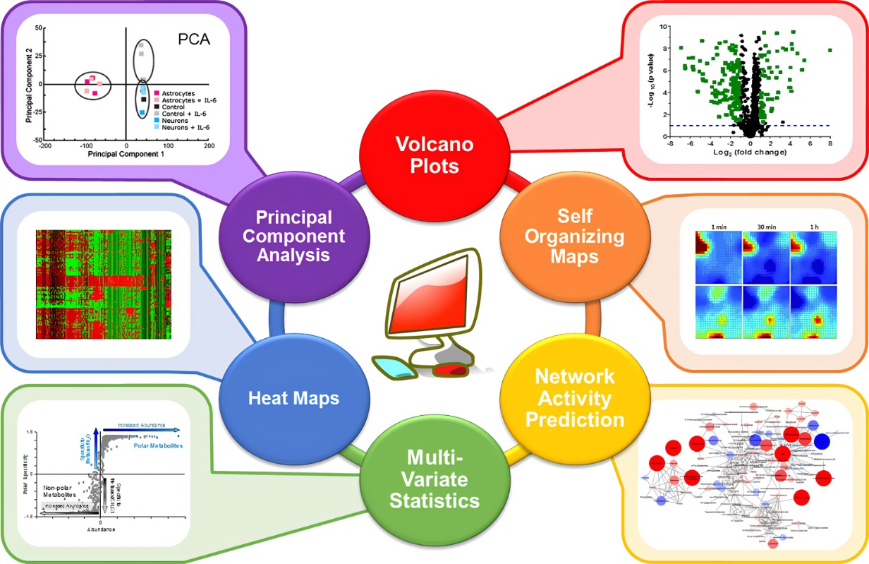 非靶向代谢组学