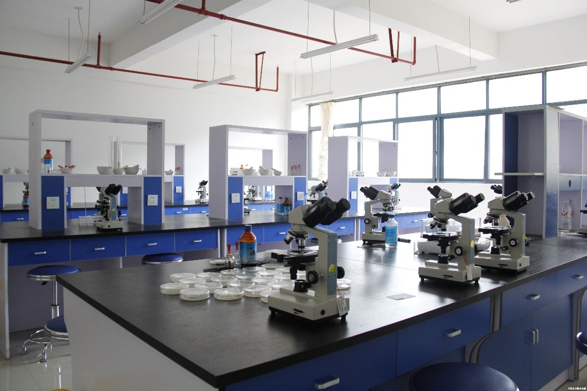 整体微生物实验