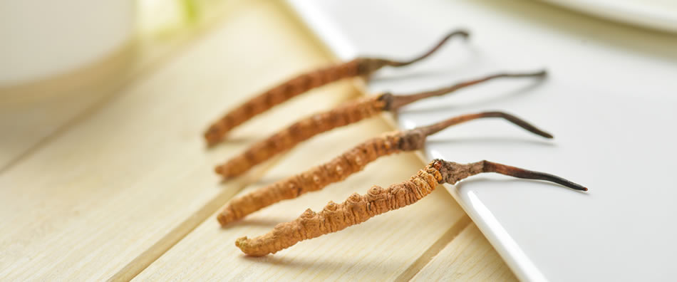 中药材及饮片33项禁用农药检测